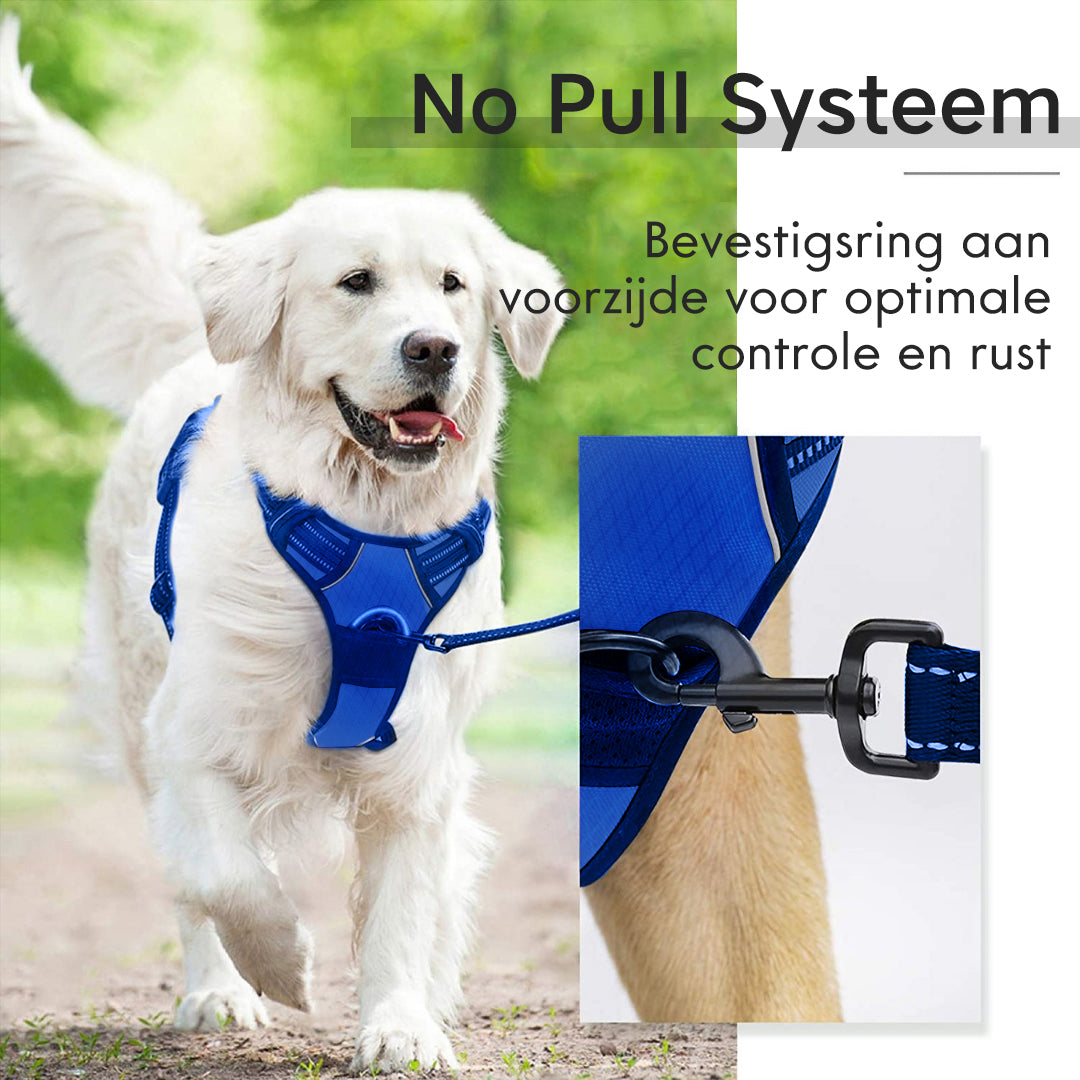 Reflecterend tuigje no pull - X-strong - Blauw