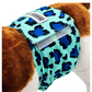 Hondenluier Panter Blauw