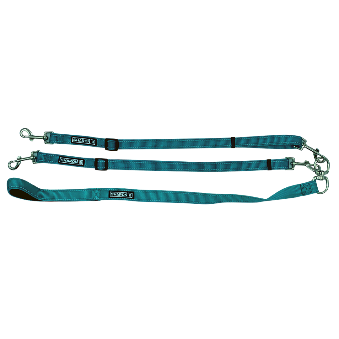 Duo riem Turquoise- voor kleine en middel grote honden - sharonbdesignnl