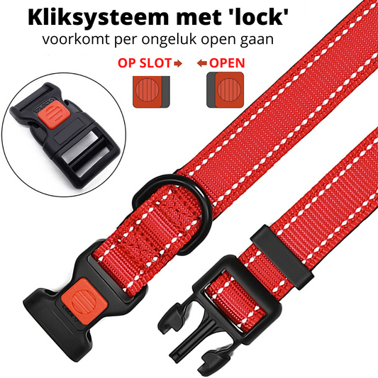 Halsband met veiligheidssluiting - Rood - sharonbdesignnl