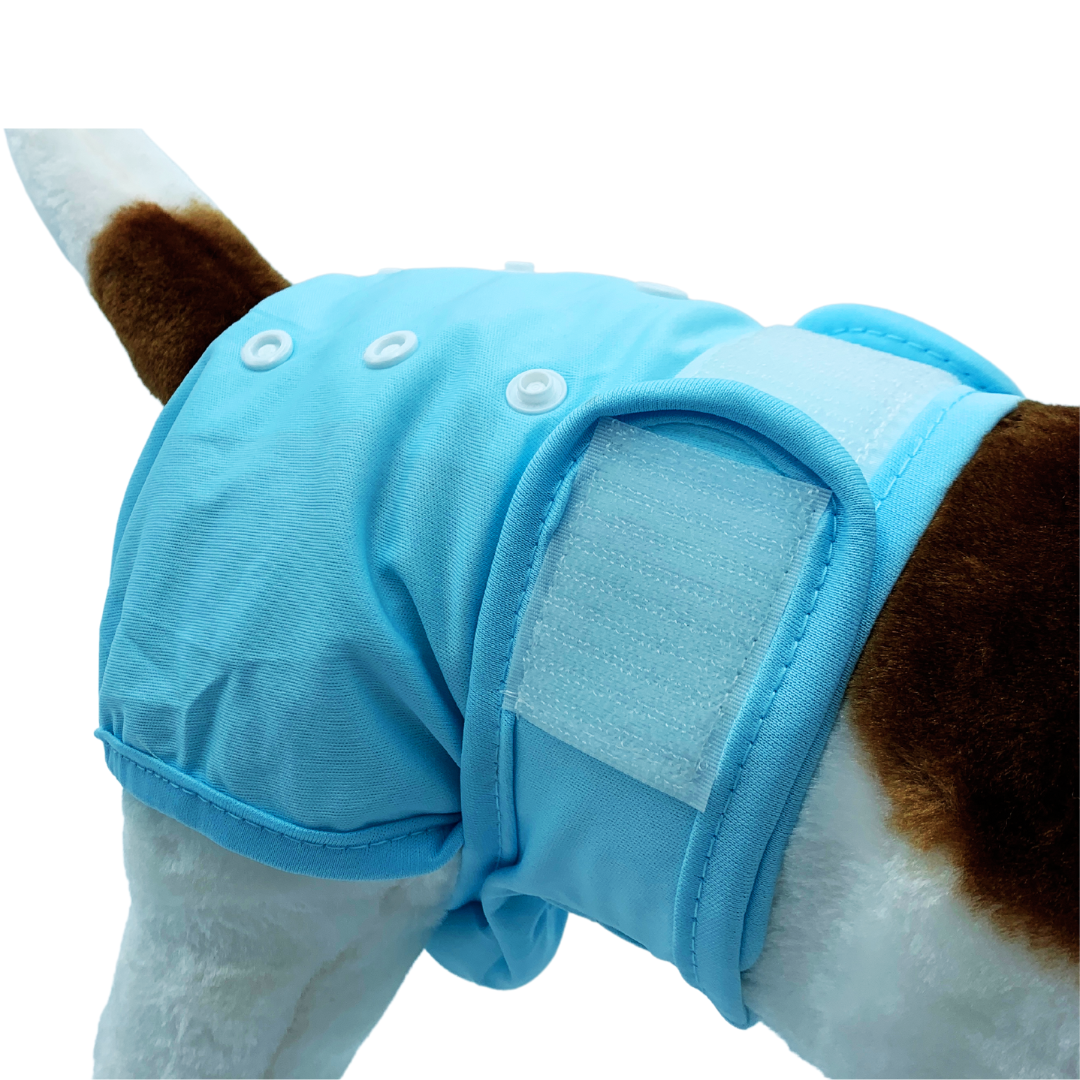 Loopsheidbroekje Blauw